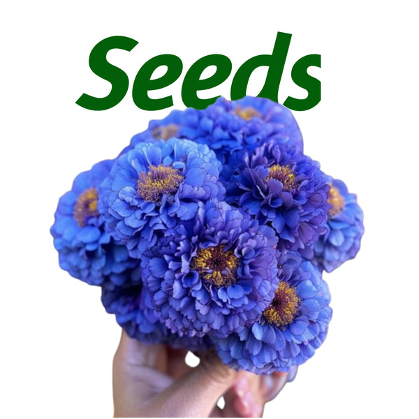 Seeds