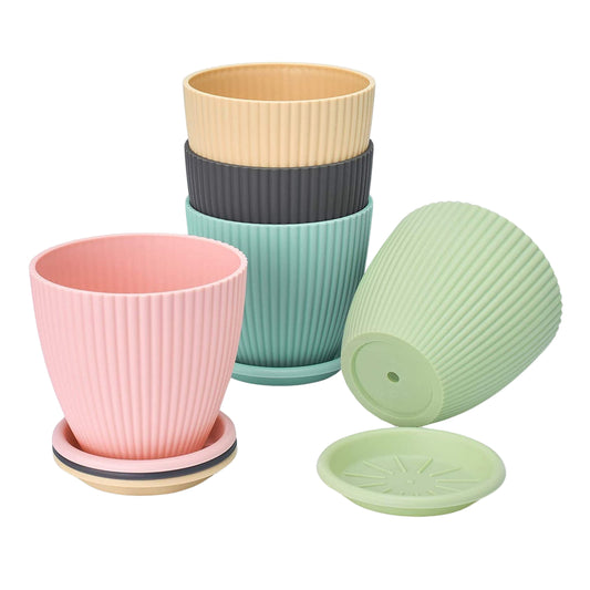 Premium pot with tray ( 5 pcs set )
