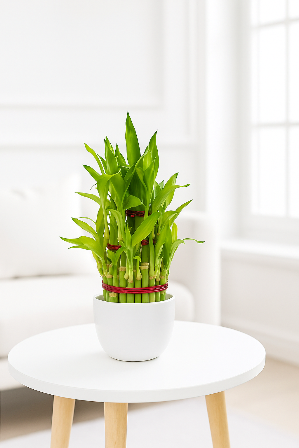 Lucky Bamboo - three layered ceramic bowl