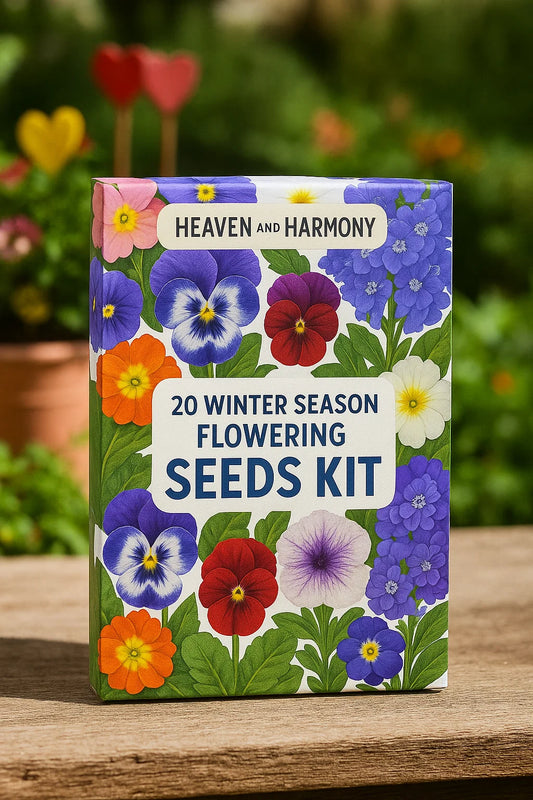 20 winter flowering seeds kit