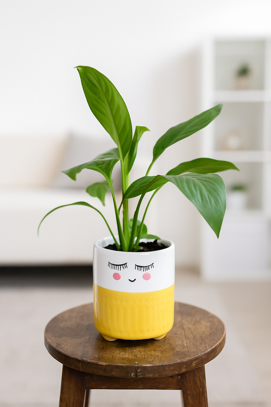 Peace lily with cat pipe planter