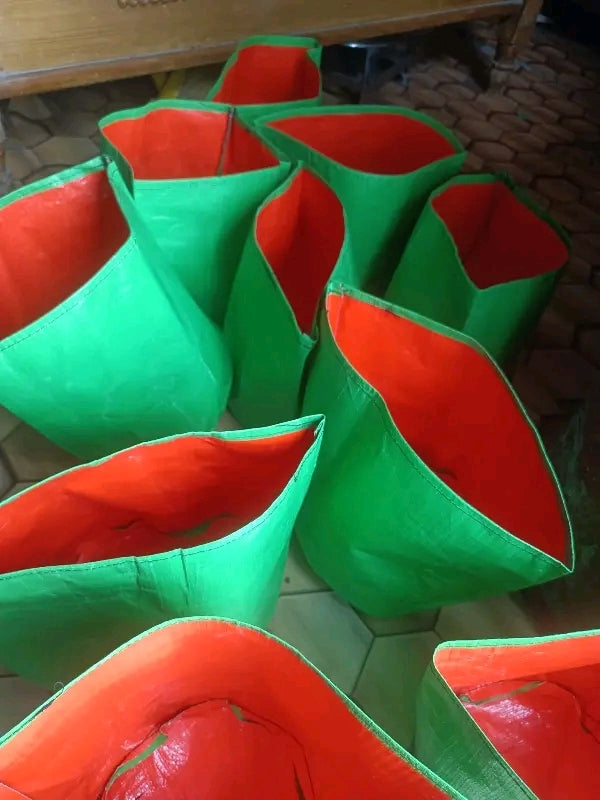 HnH Grow Bag ( 9 × 9 ) - pack of 10